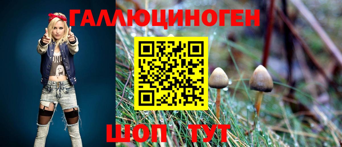 Галлюциногенные грибы мицелий Нефтекумск