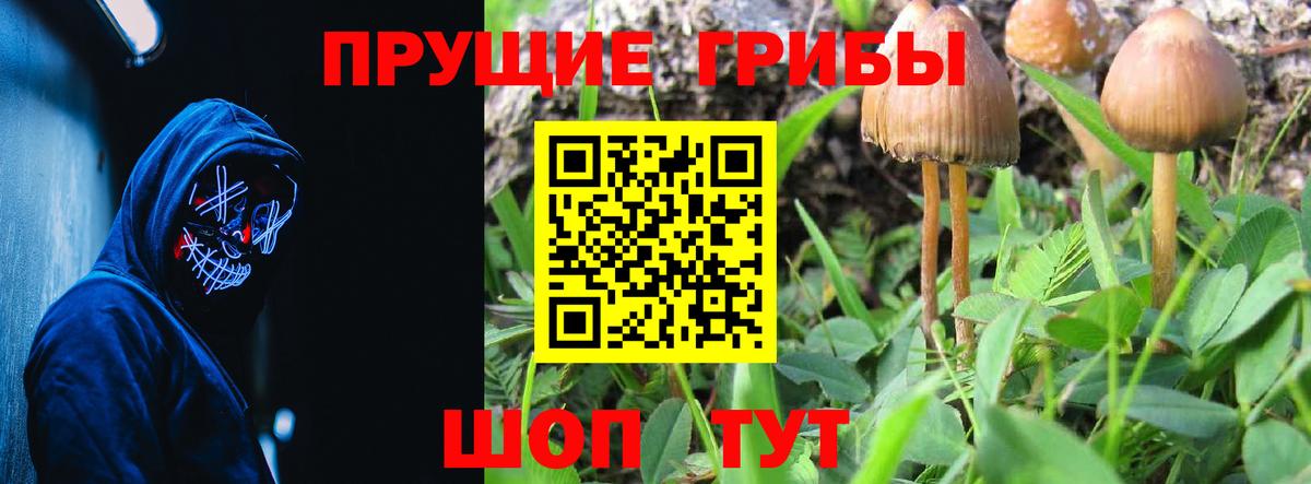 Псилоцибиновые грибы прущие грибы  Псилоцибиновые грибы мухоморы  Вход с VPN  Нефтекумск 